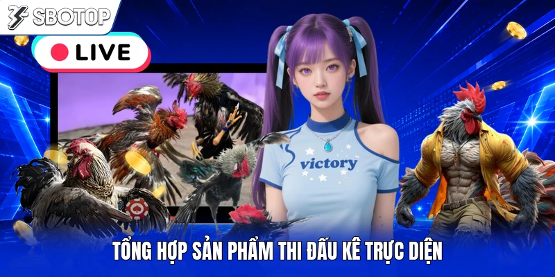 Tổng hợp sản phẩm thi đấu kê trực diện